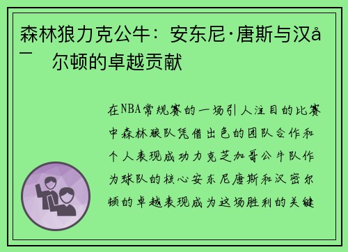 森林狼力克公牛：安东尼·唐斯与汉密尔顿的卓越贡献