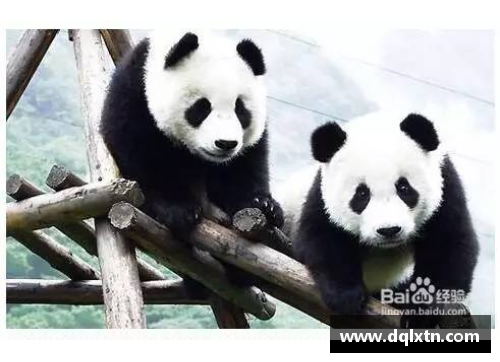 熊猫体育皇马后防再失一将！主力中卫受伤不敌挑战