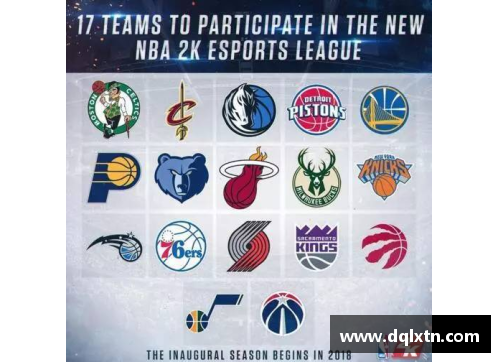 熊猫体育NBA有多少支球队？详细解析NBA球队数量及分布情况 - 副本