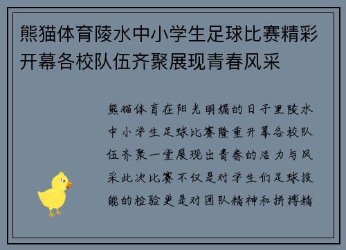 熊猫体育陵水中小学生足球比赛精彩开幕各校队伍齐聚展现青春风采