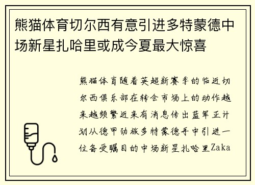 熊猫体育切尔西有意引进多特蒙德中场新星扎哈里或成今夏最大惊喜