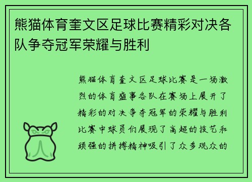 熊猫体育奎文区足球比赛精彩对决各队争夺冠军荣耀与胜利