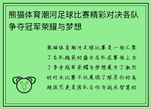 熊猫体育潮河足球比赛精彩对决各队争夺冠军荣耀与梦想
