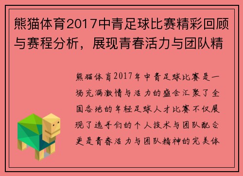熊猫体育2017中青足球比赛精彩回顾与赛程分析，展现青春活力与团队精神