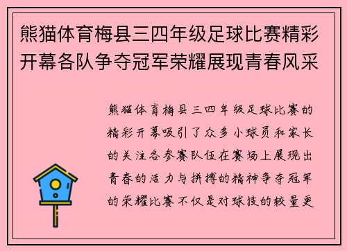 熊猫体育梅县三四年级足球比赛精彩开幕各队争夺冠军荣耀展现青春风采